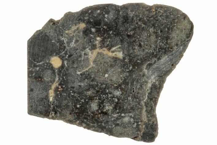 Lunar Meteorite ( g) Section - NWA #312867